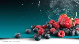 Fruit Import