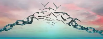 Birds releasing from chain over sea